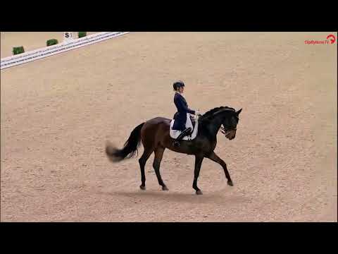 Dressurcup der Firma iWEST - Finalprüfung