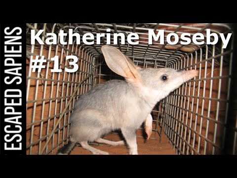 The Plan To Save Australia's Endangered Mammals. | Katherine Moseby | Escaped Sapiens Podcast #13
