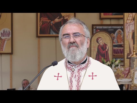 Ca să primim Duhul Sfânt trebuie să ne golim de noi înșine - Predică a Pr. Prof. Constantin Coman