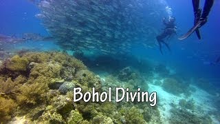 preview picture of video 'Diving in Bohol, Philippines (Balicasag Island)'