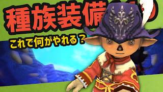 種族装備119で何がやれる？おすすめコンテンツ紹介【FF11定期】