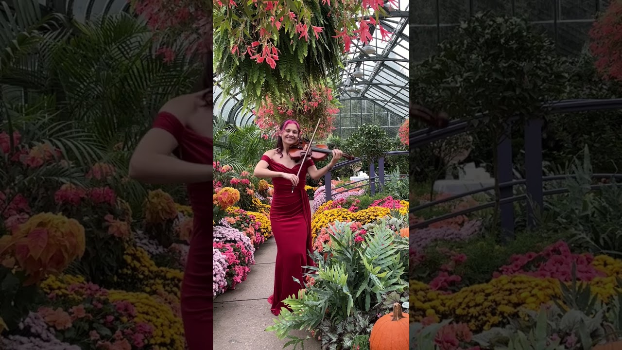 Promotional video thumbnail 13 for Wonder Violin