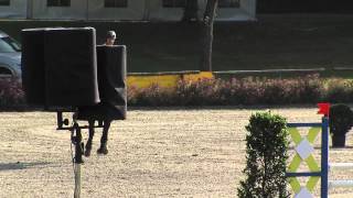 Tübingen 2015   Prf 12 09 Sebastian Heller   Chardonnay