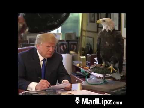 Punjabi Totay | Funny punjabi totay