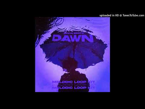 FREE Loop kit / Melodic Loop kit - "DAWN" | various styles | Loop kit 2023