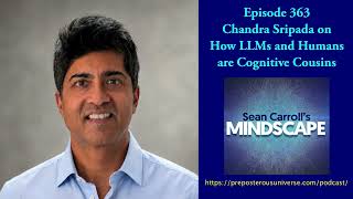 Chandra Sripada on How LLMs and Humans are Cognitive Cousins | Mindscape 363