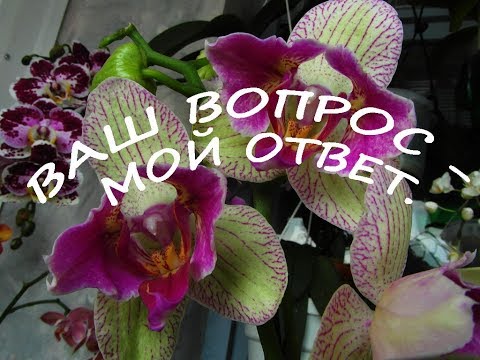 Ваш вопрос -  мой ответ.