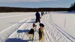 preview picture of video 'Lapland - Muonio - Harriniva Husky Safari March 2009 - (05) Sledging over an iced lake'