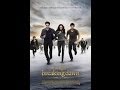 The Twilight Saga Breaking Dawn Part 2 2012 1080p