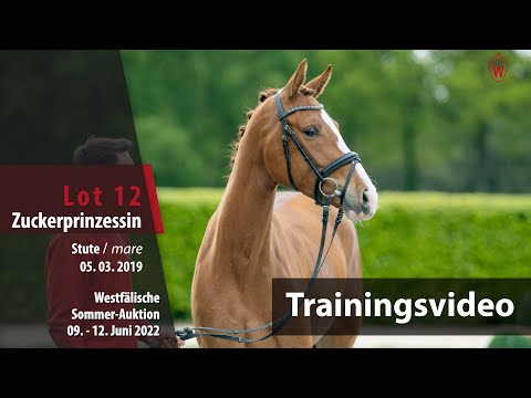 Summer Auction Training Lot 12 Sugar Princess Mare by Zoom - Bretton Woods