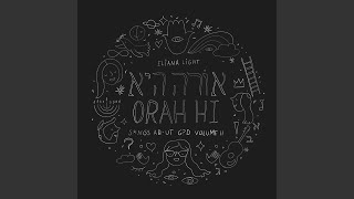 shelter us in place (hashkiveinu)