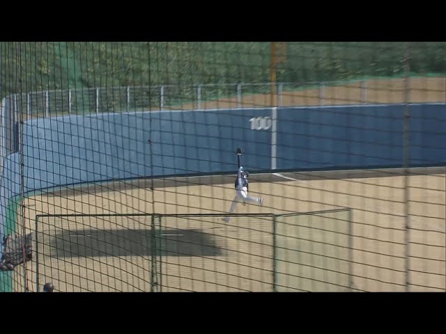 【春季キャンプ】超ファインプレー!! ライオンズ・ネビンが見事なランニングキャッチを見せる!!  2025年2月17日 埼玉西武ライオンズ