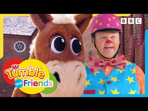 Amazing Animal Adventures | Mr Tumble and Friends