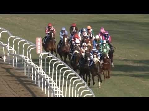 2020.07.25 Garden Province Stakes (RSA) - Temple Grafin