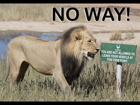 Kgalagadi  - REALLY!!!