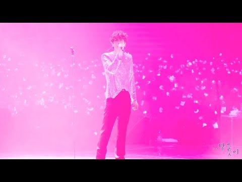 190713_박효신_Wonderland(원더랜드)_Park Hyo Shin LIVE 2019 LOVERS_막콘