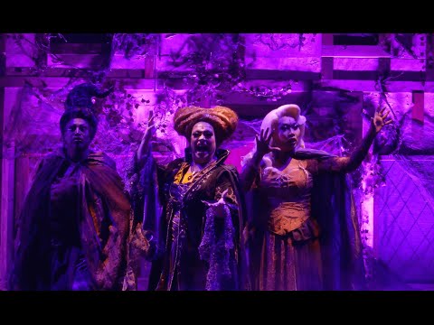 Hokus Pokus Live! video