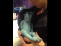 Avatar baby dolls! 