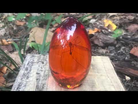 Making a "Jurassic Park" Style Mosquito Amber Egg Making a "Jurassic Park" Style Mosquito Amber Egg