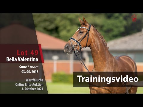 62. Elite-Auktion Training Lot 49 Bella Valentina v. Benicio/Florencio I