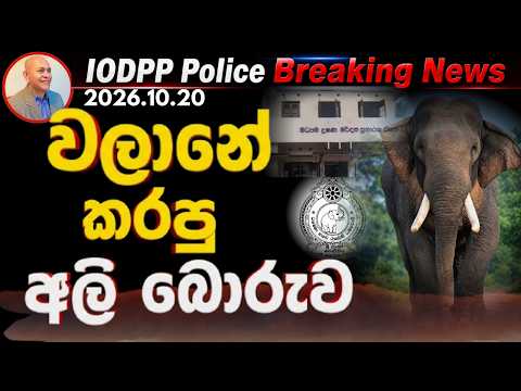 වලානේ කරපු අලි බොරුව | Elephant Kawanthissa.