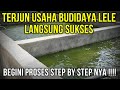 Rahasia Sukses Berbisnis Lele Mulai Dari Nol Cara Cepat Membangun Usaha Lele Yang Menghasilkan