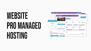 Website Pro Managed Hosting for Local Businesses