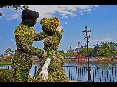 מכל האהבות - ליאל נאמן