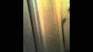 ^^My dog killed a mole !!!^^