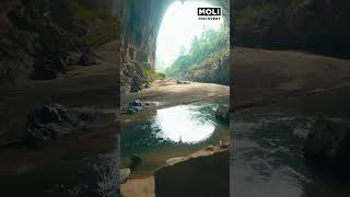 V&igrave; sao tour Sơn Đo&ograve;ng phải đến năm 2023 mới c&oacute; chỗ trống? | Moli Discovery #shorts