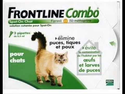 comment appliquer frontline combo chat