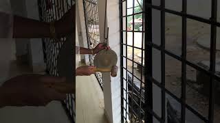 Download lagu School bell  real sound Viral #school #schoolbell #youtube_shorts #shortfeed #viralvideo mp3