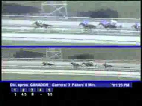 CLASICO HYPOCRITE 2012 DOM 4 MARZO LA RINCONADA  EL DE CHINE AUDIOHIPISMO