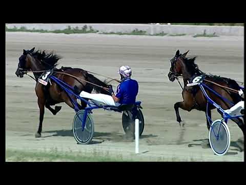 Napoli Trotto 05/09/2021 - 2ª corsa