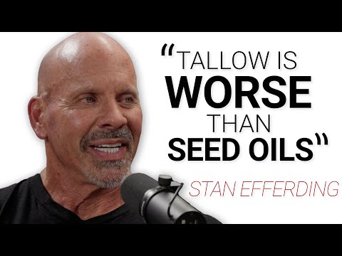 Seed Oils, Red Dye 40, Insulin Resistance, PCOS & Hunger, Cholesterol Controversies, and More