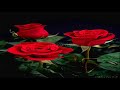 Nancy Wilson / You'd Better Go