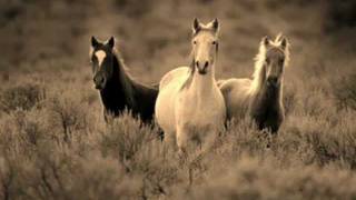 Larry Carlton - Emotions Wound Us So (live)