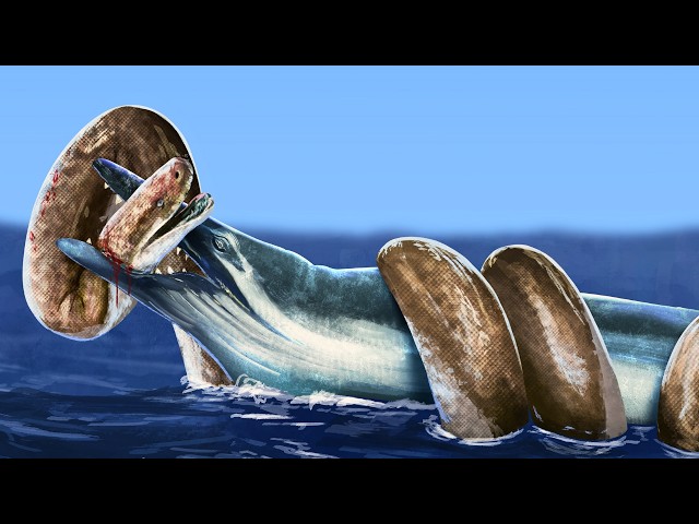 The Last Time Earth Was Iceless SDDEFAULT Thumbnail