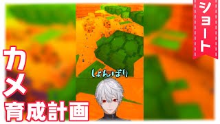 【#shorts】カメ育成中の悲劇【葛葉/Kuzuha】