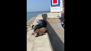 広島県呉市と江田島市にツーリングに行ってきました １日目