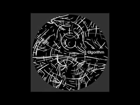 Volpe - You Don't Love Me [Algorithm007]