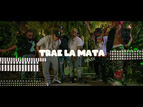 TIVI GUNZ ❌ Kiko El Crazy ❌ JS Producer ❌ Young Gati ❌ El Fecho ❌ Brray ❌ YOMEL ❌ - Trae La Mata RMX
