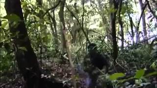 Download lagu 21GGK mp3 Download lagu 21GGK mp3