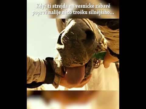 #short #asterixobelix #olympic #rodina #zabava #alkohol #vesnice #samohonka #oslava #pribuzni #memes