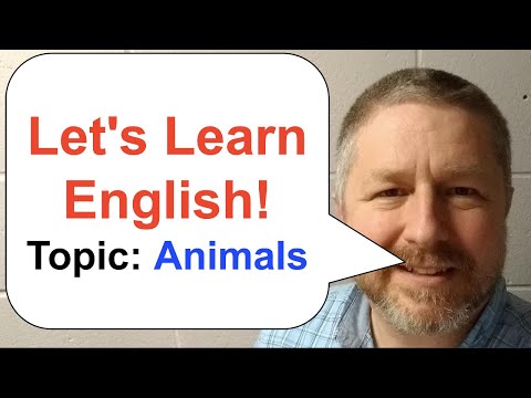 Let's Learn English | Topic: Animals | #learnenglish | 🐭 🐹 🐰 🐶