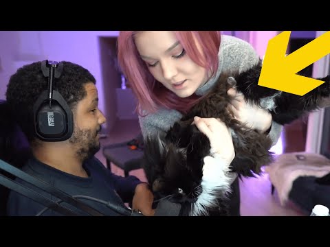 NİCK İNTERVİEWİNG THE CAT w/ MALENA