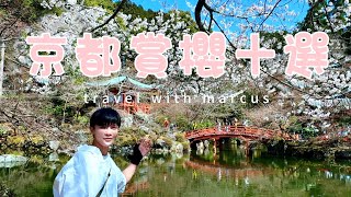 2024年 最新京都賞櫻名所十選｜醍醐寺、嵐山、京都御苑、六角堂、蹴上、二條城、新風館、南禪寺、祇園白川