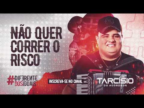 NÃO QUER CORRER O RISCO - Tarcísio do Acordeon - CD Diferente dos Iguais 2021