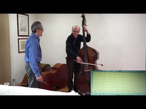 Kamimoto bass Wolf Terminator