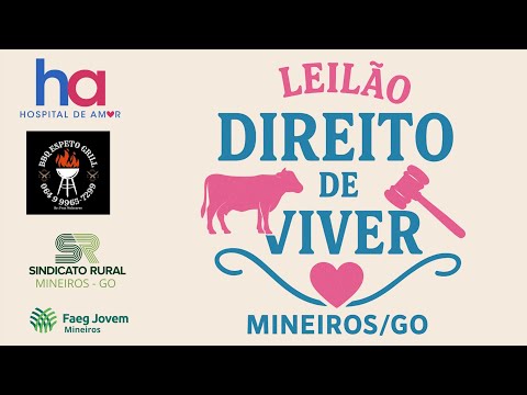 9º LEILÃO DIREITO DE VIVER - MINEIROS-GO | 30/11/2025
